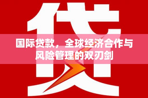 树林国际贷款，全球经济合作与风险管理的双刃剑