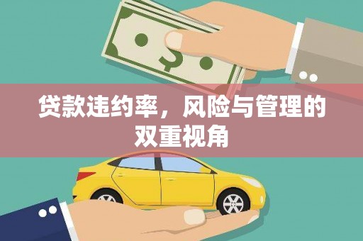 称多贷款违约率，风险与管理的双重视角