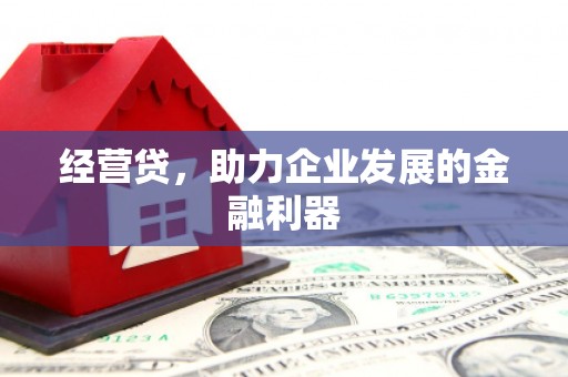 东至经营贷，助力企业发展的金融利器