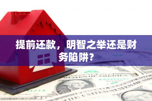 海盐提前还款，明智之举还是财务陷阱？