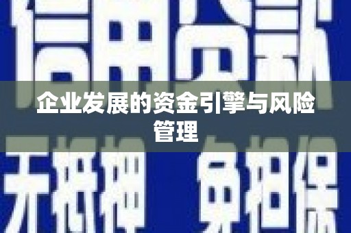 茂县企业发展的资金引擎与风险管理
