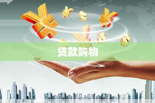 丰顺贷款购物