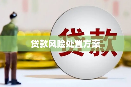 林西贷款风险处置方案