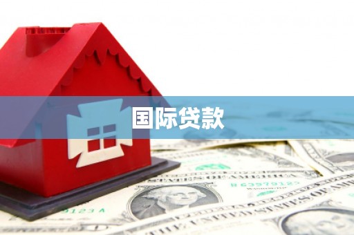 新巴尔虎左旗国际贷款