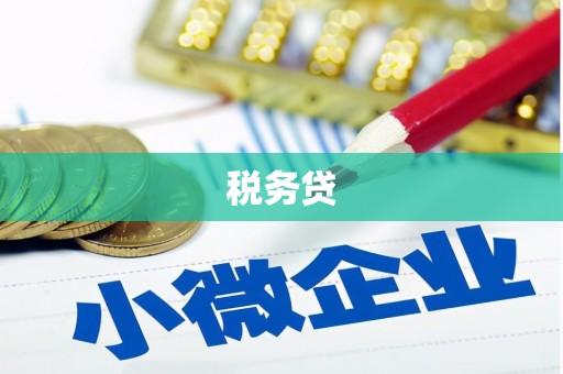 鄯善税务贷