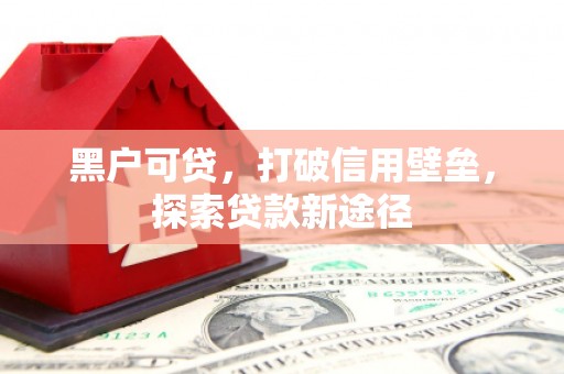 法库黑户可贷，打破信用壁垒，探索贷款新途径