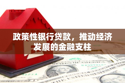 元长政策性银行贷款，推动经济发展的金融支柱