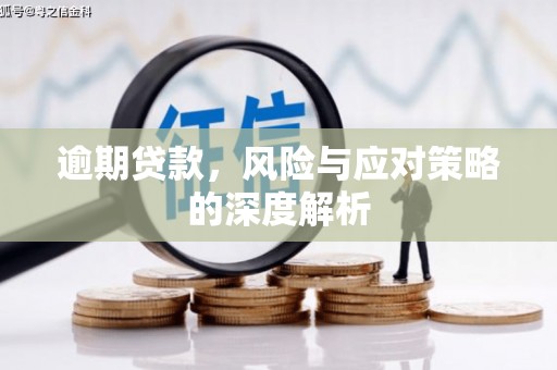 布袋逾期贷款，风险与应对策略的深度解析