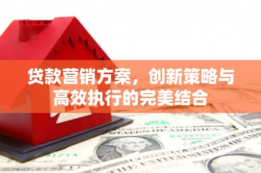 鹿城贷款营销方案，创新策略与高效执行的完美结合
