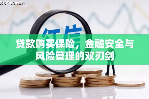清涧贷款购买保险，金融安全与风险管理的双刃剑