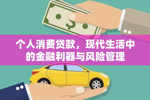 鹿野个人消费贷款，现代生活中的金融利器与风险管理