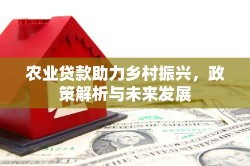 石家庄农业贷款助力乡村振兴，政策解析与未来发展