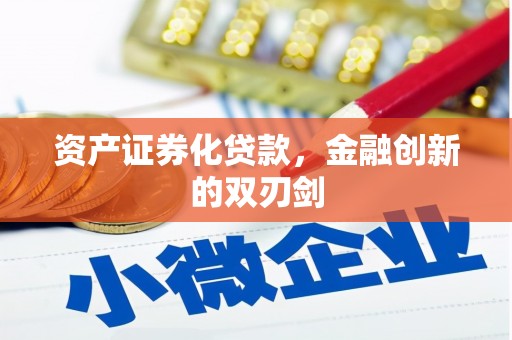 玄武资产证券化贷款，金融创新的双刃剑