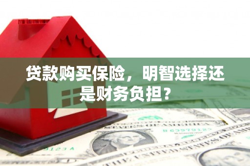 科尔沁左翼后旗贷款购买保险，明智选择还是财务负担？