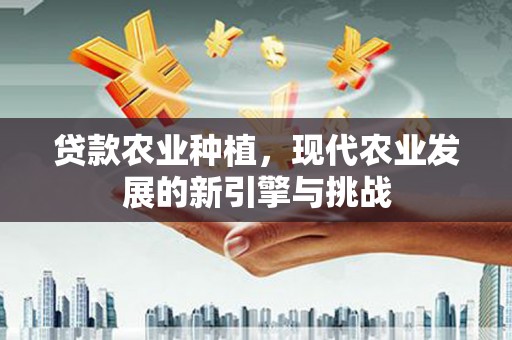 邢台贷款农业种植，现代农业发展的新引擎与挑战