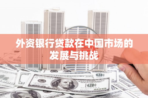 冕宁外资银行贷款在中国市场的发展与挑战
