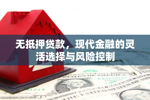 崖州无抵押贷款，现代金融的灵活选择与风险控制