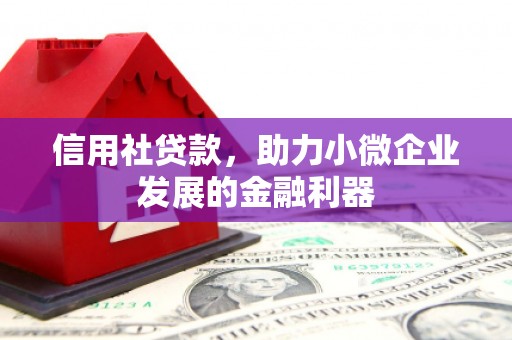 香格里拉信用社贷款，助力小微企业发展的金融利器