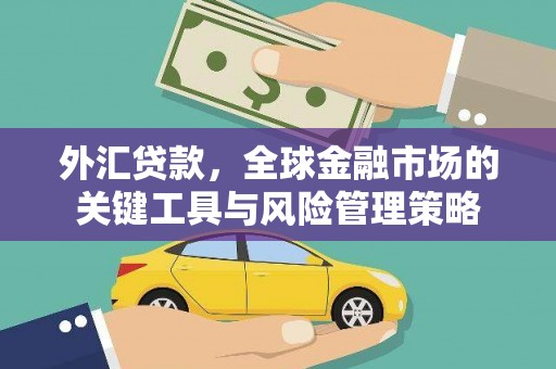 文成外汇贷款，全球金融市场的关键工具与风险管理策略