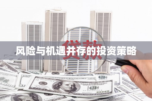 南屯风险与机遇并存的投资策略