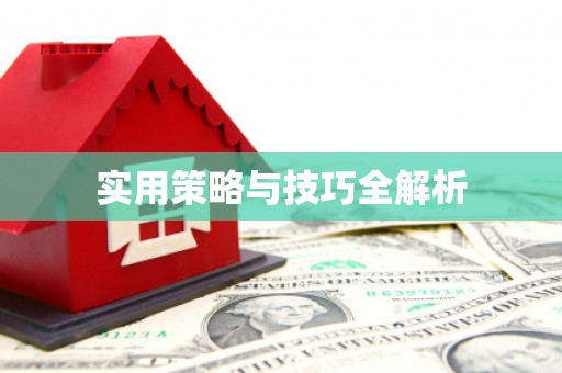 西和实用策略与技巧全解析