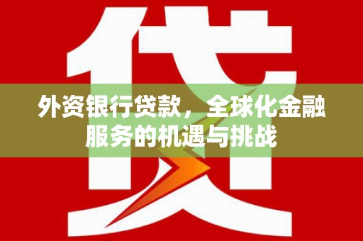 乐东外资银行贷款，全球化金融服务的机遇与挑战