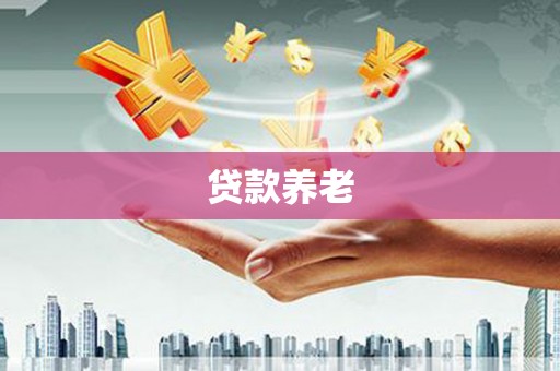成县贷款养老
