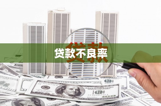 汤原贷款不良率