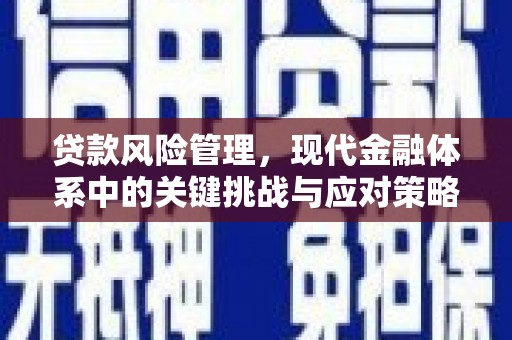 绩溪贷款风险管理，现代金融体系中的关键挑战与应对策略