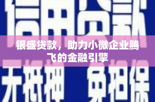 爱民银盛贷款，助力小微企业腾飞的金融引擎