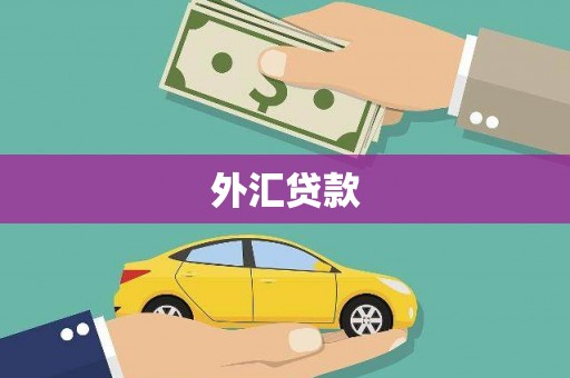 酒泉外汇贷款