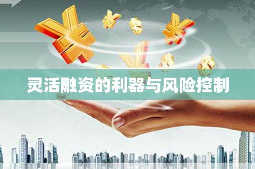 安溪灵活融资的利器与风险控制