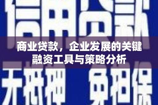 错那商业贷款，企业发展的关键融资工具与策略分析