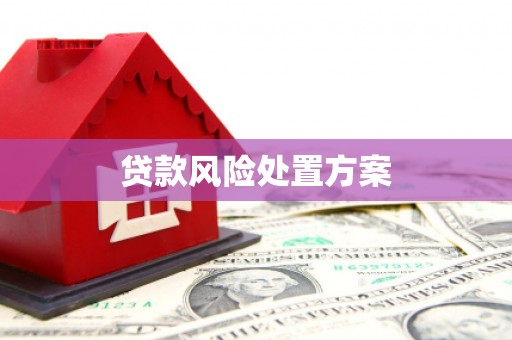 美溪贷款风险处置方案