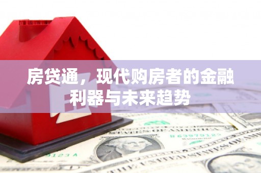 滨城房贷通，现代购房者的金融利器与未来趋势