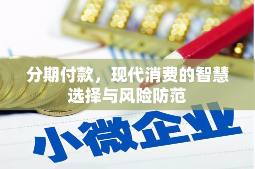 利州分期付款，现代消费的智慧选择与风险防范