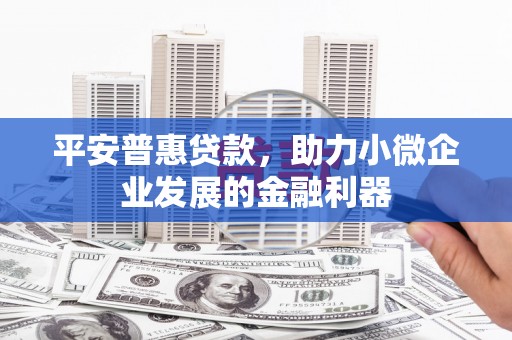 合水平安普惠贷款，助力小微企业发展的金融利器