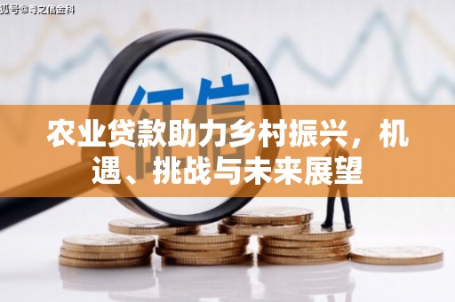 杭州农业贷款助力乡村振兴，机遇、挑战与未来展望