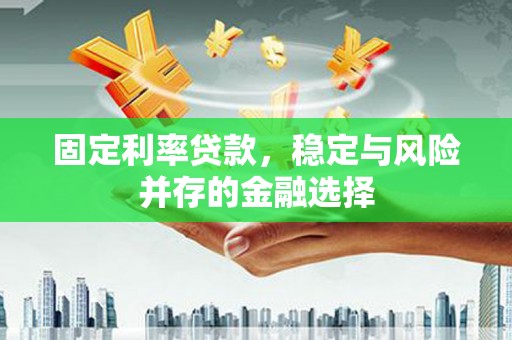 盐水固定利率贷款，稳定与风险并存的金融选择