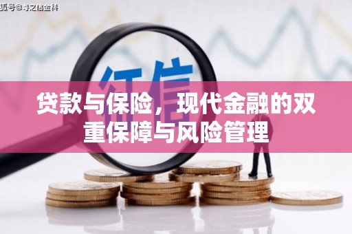庆元贷款与保险，现代金融的双重保障与风险管理