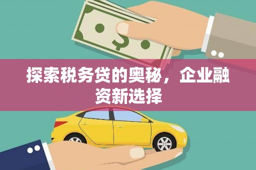 忻府探索税务贷的奥秘，企业融资新选择