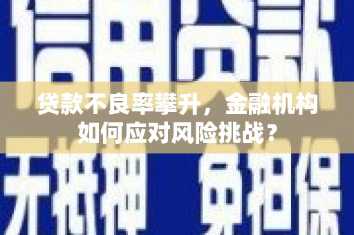 启东贷款不良率攀升，金融机构如何应对风险挑战？