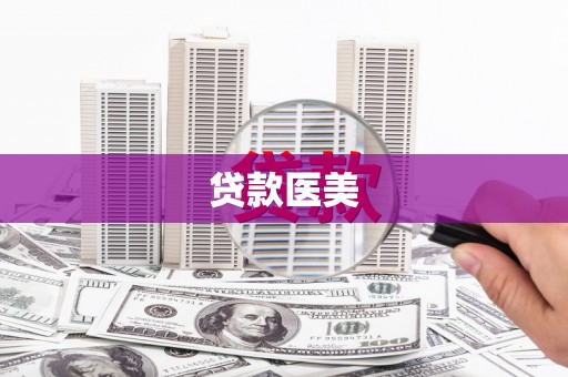 公安贷款医美