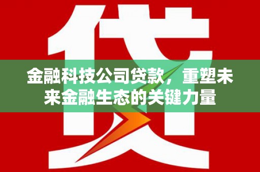 宜丰金融科技公司贷款，重塑未来金融生态的关键力量
