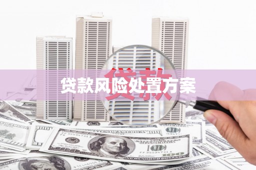 察雅贷款风险处置方案
