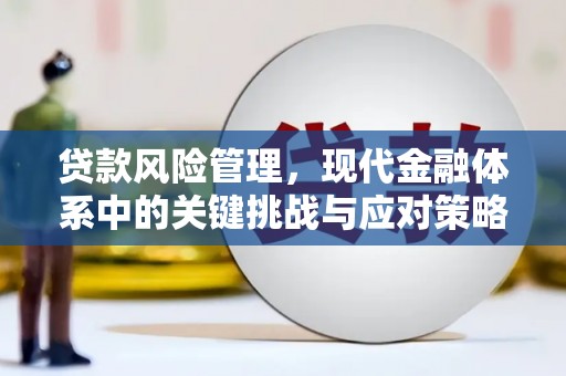 新华贷款风险管理，现代金融体系中的关键挑战与应对策略