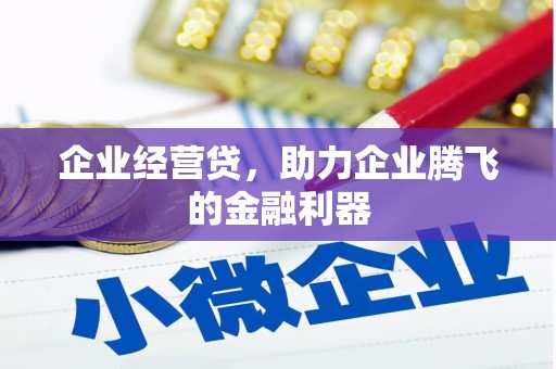 蓬江企业经营贷，助力企业腾飞的金融利器