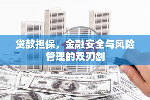 秭归贷款担保，金融安全与风险管理的双刃剑