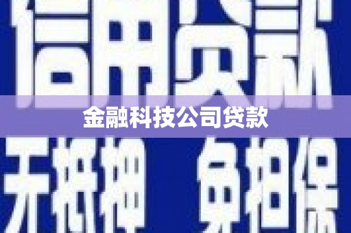 马尔康金融科技公司贷款