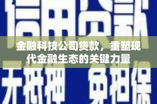 定陶金融科技公司贷款，重塑现代金融生态的关键力量